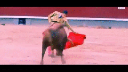 Serious_accident_Bull_s_horn_through_the_neck_of_the_matador_and_threw_him_into_the_air_2015