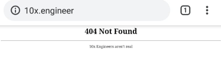 10x engineer
